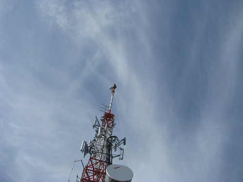 Radio-antena