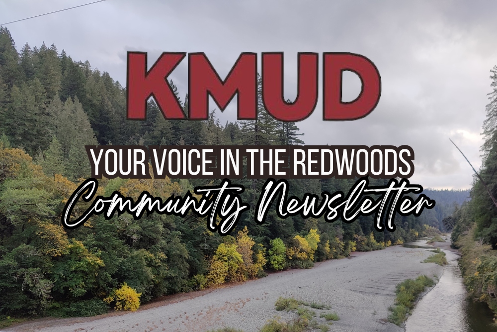 Newsletter headers for featured(11)