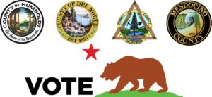 logo local elections