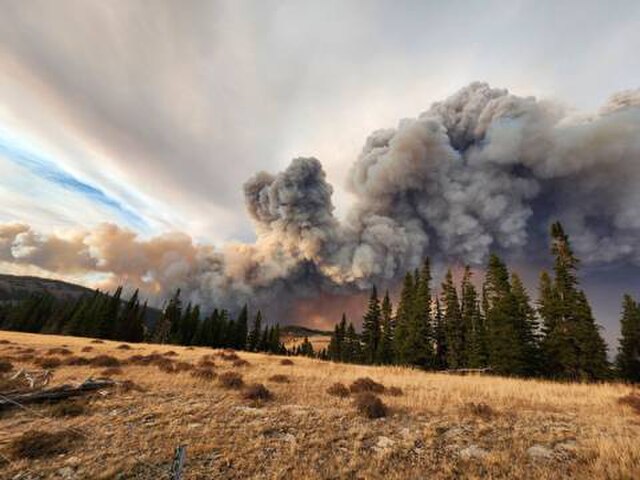 a field with tree-lined perimeter visible with the threat of huge wildfire cloud in the background