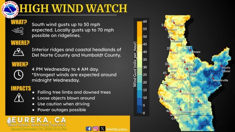 high wind watch graphic
