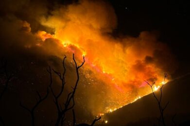 Border 2 Fire