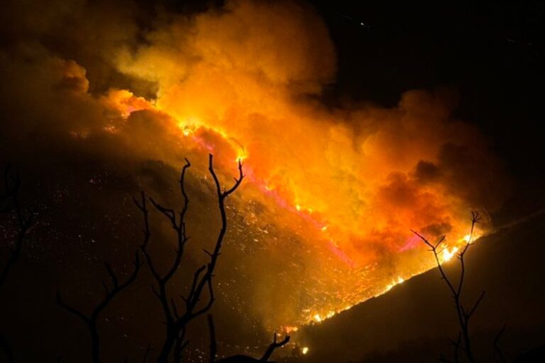 Border 2 Fire