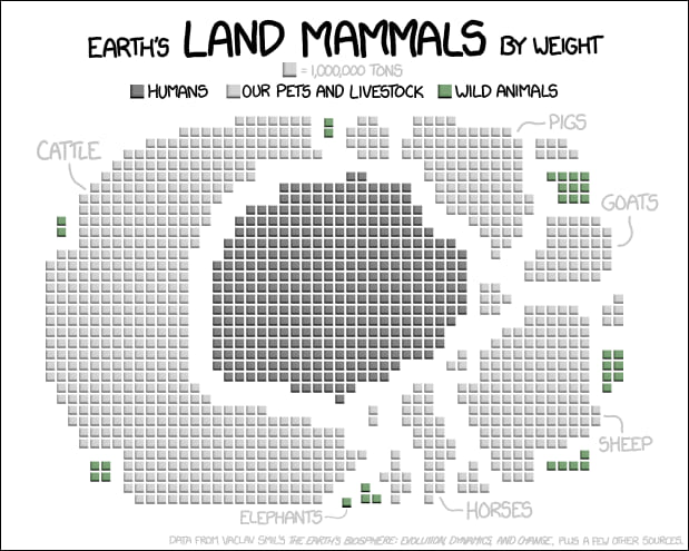 mamals and space mamals and space