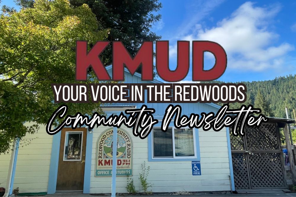 August newsletter