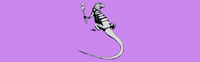 Lizardsplumbinglogo