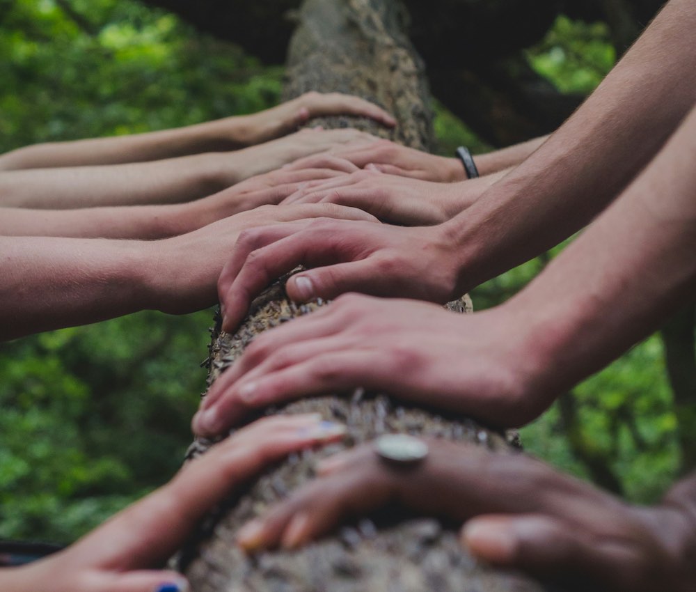handsontree
