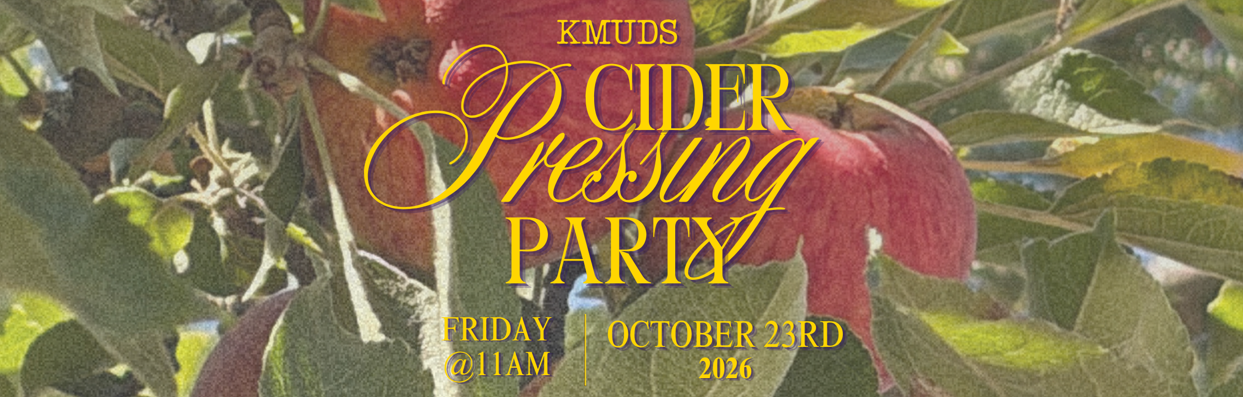 Cider Pressing Party