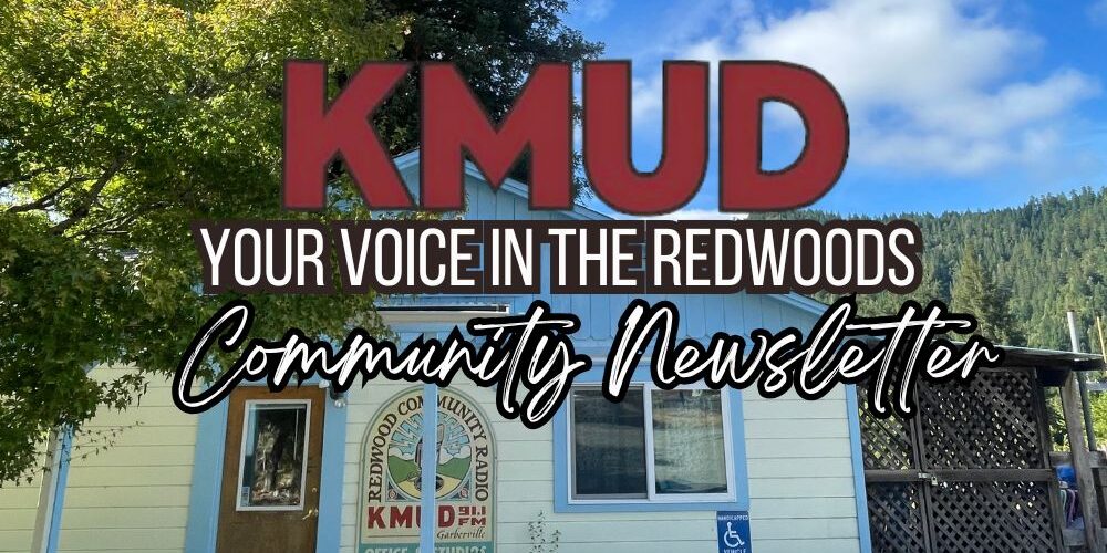 August newsletter
