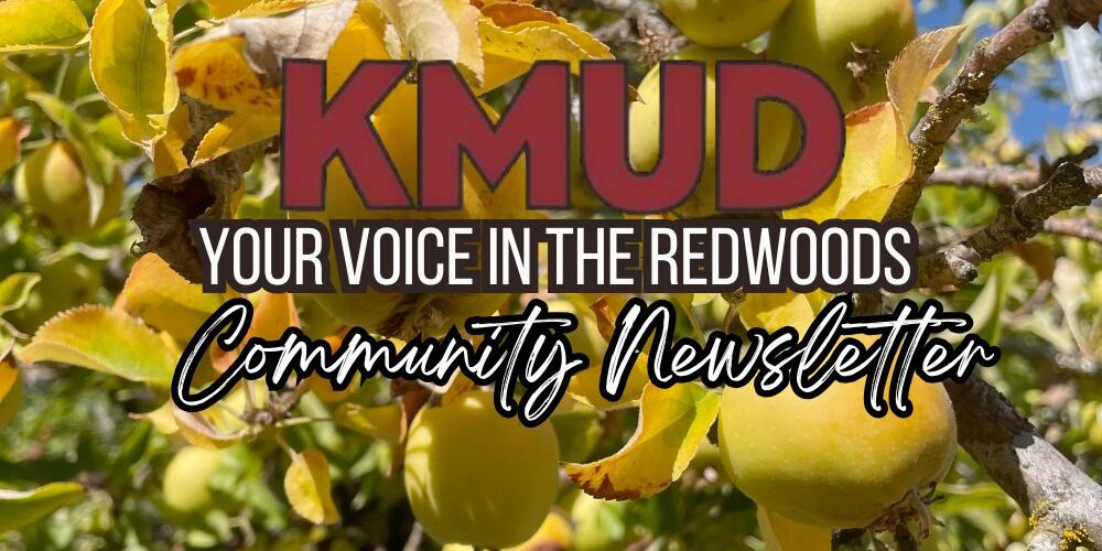 September newsletter